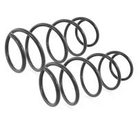 Coppia Molle Anteriori per Renault Megane II + Combi 2.0 + Diesel 2002-