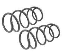 Coppia Molle Anteriori per Renault Scénic II + Grand 1.5dCi 1.9 dCi 2.0