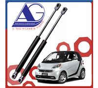 COPPIA Molle Gas Portellone Pistoncini Cofano Baule Posteriore Smart 451 ForTwo