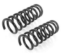 Coppia Molle Posteriori per Mercedes-Benz S-Classe W140,C140 1991-1999