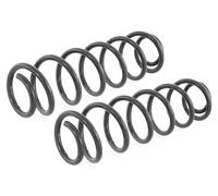 Coppia Molle Posteriori per Volkswagen Lupo Caddy II Seat Arosa 1995