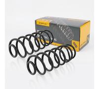 Coppia Molle Posteriori per VW Golf II,III,Vento,Seat Toledo 1983-1999