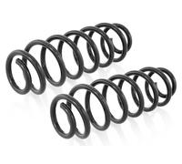 Coppia Molle Posteriori per VW Golf V, Seat Altea,Skoda Octavia II 03-