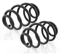 Coppia Molle Posteriori per VW Passat + Variant 3B2,3B3,3B5,3B6,B5 96-