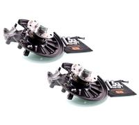 Coppia Mozzi Fuselli Ruota Completa Posteriore Destro+Sinistro GH-284364H/V