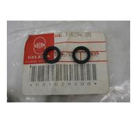 Coppia o-ring guarnizioni pinza freno Brake caliper gasket set Gilera T4 200