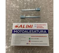 Coppia Perno Blocca Pastiglie Freno Anteriori Honda CBR 954 RR 2002/2003
