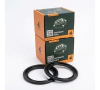 Coppia Piattelli reggimolla Anteriore Destro=Sinistro Abbassare GH-621960