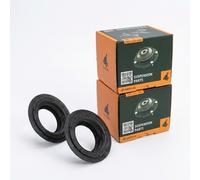 Coppia Piattelli reggimolla Anteriore Destro=Sinistro Superiore GH-625054