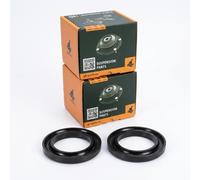 Coppia Piattelli reggimolla Posteriore Destro=Sinistro Superiore GH-622291