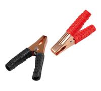 Coppia pinze batteria - 10 cm - 60A