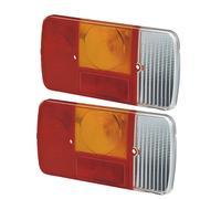 COPPIA PLASTICHE FANALI POSTERIORI DX E SX PER PIAGGIO APE TM P 703 FL2 DIESEL