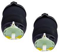 Coppia Posteriore Aria Molla Sospensione Soffietto Per Audi A6 Allroad A6 Avant