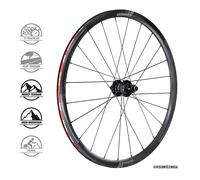 Coppia ruote in carbonio VISION TC30 DB CL disc