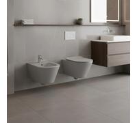Coppia Sanitari Sospesi Vaso WC Rimless Con Tornado Flush E Bidet Sospeso Design Moderno Tondo In Ceramica Con Copriwater Chiusura Soft Close Rallentata (Grigio Opaco)