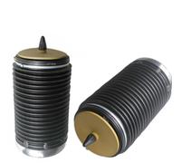 COPPIA SOFFIONI MOLLA AD ARIA POST DX SX PER AUDI A6 C7 e A7-4G0616002K - 4G0616001K