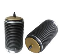 COPPIA SOFFIONI MOLLE AD ARIA POSTERIORI PER AUDI A6 C7 e A7 - 4G0616002K