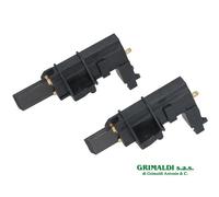 COPPIA SPAZZOLE CARBONCINI MOTORE LAVATRICE ELECTROLUX 4055180014 ORIGINALE