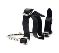 Coppia speroni equestri per equitazione, Silver