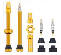 Coppia Valvole Tubeless Presta 60mm Oro per Inserti Copertoni Bici Alluminio