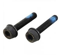 Coppia Viti 19mm Flat Mount Posteriore Bici Telai 10-14mm Campagnolo