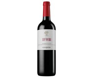 Coppo L'Avvocata Barbera d'Asti DOCG 2024 0,75 ℓ