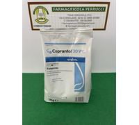 Coprantol 30 WG fungida a base di rame ossicloruro 30% Kg1