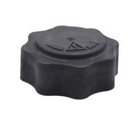 Coprentino Serbatoio Dell'Acqua Del Radiatore Per R52 R53 ADB119902