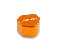 Copri alloggiamento commutatore manubrio Per R1200R Pulsante Interruttore Moto Indicatori Di Direzione Tappo Chiave(R1200R-5)