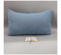 Copri Cuscini 50x70 per Divano 40x70 Copricuscino 50x80 Elasticizzato Con Cerniera,Federe Moderne Per Camera Da Letto Divano Decorativo Velluto A Coste Elegante Lavabile ( Color : Sky blue , Size : 50