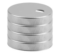 Copribulloni Wc Decorativi in Acciaio Inox, 4 Pezzi Argento