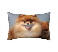 Copricuscini Cute Pomeranian Morbide Federe Cuscino Resistenti Protezione del Cuscino per Camera Cucina Giardino 16"X24"