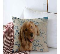 Copricuscino Decorativo Federa Springer Cane Spaniel Marrone Bere Alla Moda Cucciolo Inglese Animali Acquatici Romanzo Fauna Selvatica Moda Cuscino Quadrato Cuscini Copridivano Divano Panca Divano 1