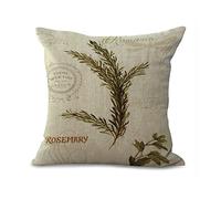 Copricuscino Imbottito 45,7 x 45,7 cm/45cmx45 cm Stile Vintage Plant Series Salvia Basilic prezzemolo rosmarino Foglie Verdi in Cotone e Lino Cuscino per Divano my-p1034 - 01#03-Rosemary