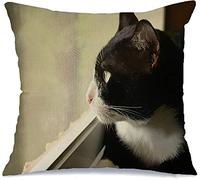 Copricuscino Letto Carnivora Tuxedo Looking Carnivores Indoor Outside Pet Window Animals Wildlife Divano Copricuscini Morbido Copricuscino, per Interni Ed Esterni, Divano, Sedia, 45x45cm