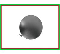 COPRIG. PAR.A. IQ 1/09-PRIM.