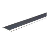Coprigiunto adesivo Piattoinox in acciaio 2,4 mm x 38 mm x 2700 mm