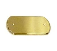 COPRINTERRUTTORE GIOIA OTTONE LUCIDO CIECO