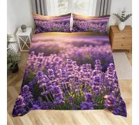 Copripiumino Matrimoniale 240x220 Aldulto Lavanda 2 Federe