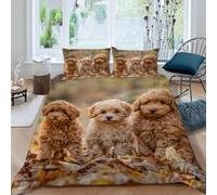 Copripiumino Matrimoniale 260x240 cm Barboncino in Morbido Microfibra 3D Biancheria da Letto Cane Domestico 3 Pezzi incluso 1 Copripiumini e 2 Federe 50x80 cm X.3059