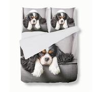 Copripiumino Set Biancheria da Letto 240x220cm, Modello Cavalier King Charles Spaniel Copripiumino Reversibile Morbida Anallergica 3 Pezzi con Chiusura a Cerniera - per Bambini Adolescenti Adulti