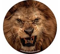 Copripneumatico ruota di scorta morbida Lion 15" 16"17" su misura