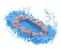 Copriscarpe Per Mop - Copriscarpe Per Pulire La Polvere Pigra | Design Regolabile, Versatile Copertura Per Scarpe Con Pantofole In Microfibra, Strumento Lavabile E Riutilizzabile Per La Pulizia Del Pa