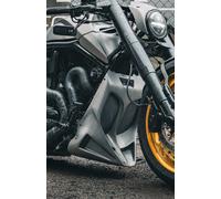 Copriscatola Filtro Aria Carbonio MX Per Harley V Rod Night Rod 2002-2017