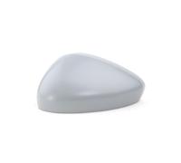 Copriscintilla Sinistra DTV Per Citroen C4/DS4 11/09- Grundiert, Primer