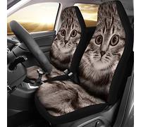 Coprisedile Auto American Shorthair Cat Background Coprisedili Auto Universale Coprisedili Anteriori per Autos per Camion Automoive Berlina 52X138 CM