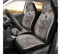 Coprisedile Auto British Shorthair Cat Background Copri Sedili per Autos Universale Coprisedili Auto Impermeabile Coprisedili Anteriori per Autos per Furgoni Automoive SUV 52X138 CM