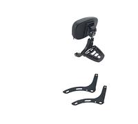 Coprisella monoposto Schienale Moto Schienale Passeggero Multiuso Con Portapacchi Pieghevole Per Rebel 300 500(Nero)