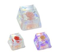 Copritasti In Resina - Copritasti Per Tastiera Backspace In Resina | Copritastis Per Tastiera, Copritastis In Resinas Camellia Rose Sa Profile | Sostituzione Fai-da-te, Shine Through Translucent R4