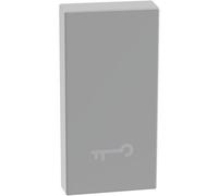 Copritasto con simbolo chiave per comandi assiali MatixGo Bticino JG4916F silver